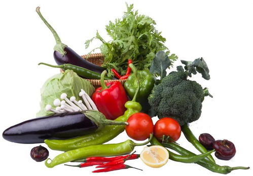 復課后學校食堂管理與學生安全指南